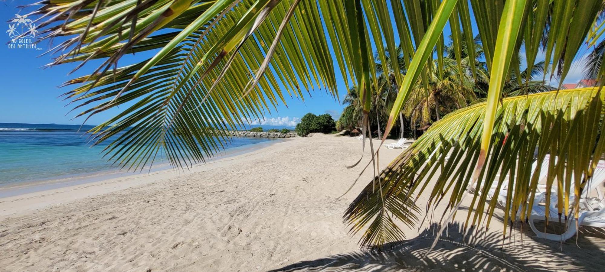 Studio Sable 2/4 Pers Face A La Mer Sainte-Anne  Exterior foto